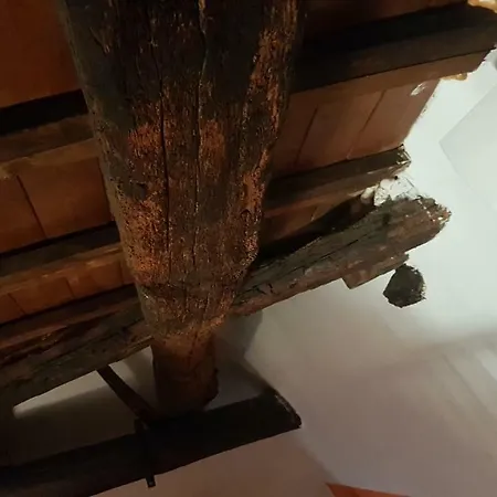 アパート Casa Angelo フェラーラ